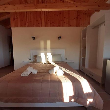 Guest House Luiza Borş Oda fotoğraf