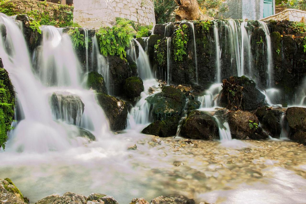 Guest House Luiza Borş Dış mekan fotoğraf