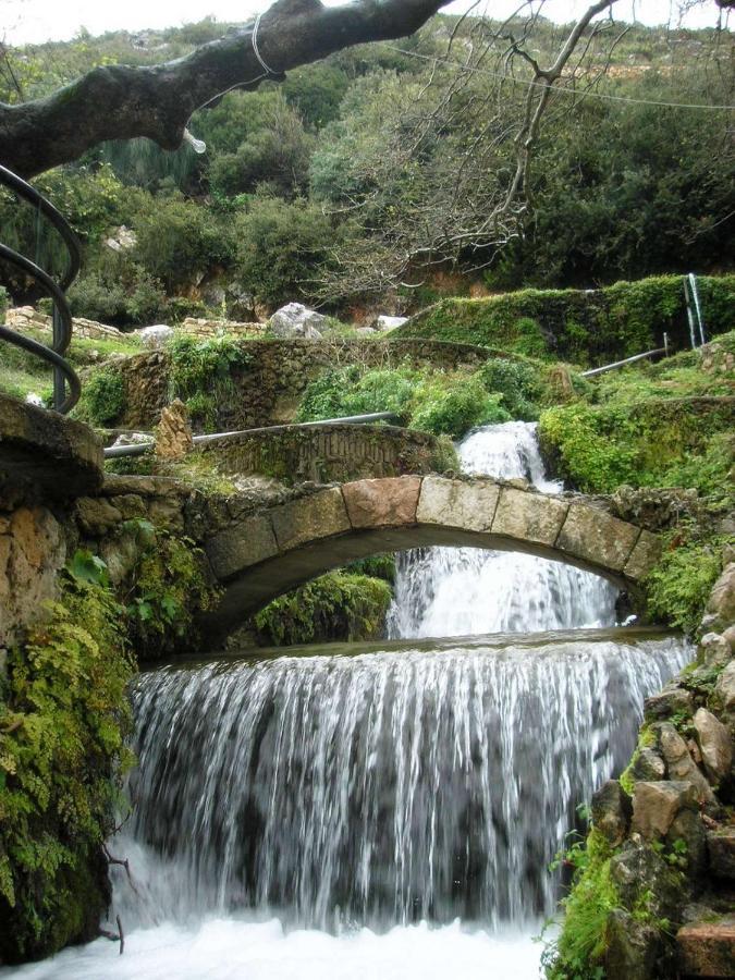 Guest House Luiza Borş Dış mekan fotoğraf