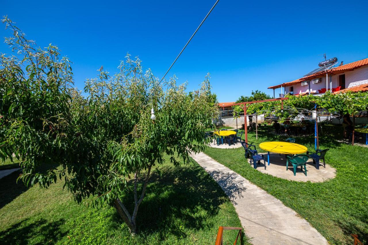 Guest House Luiza Borş Dış mekan fotoğraf