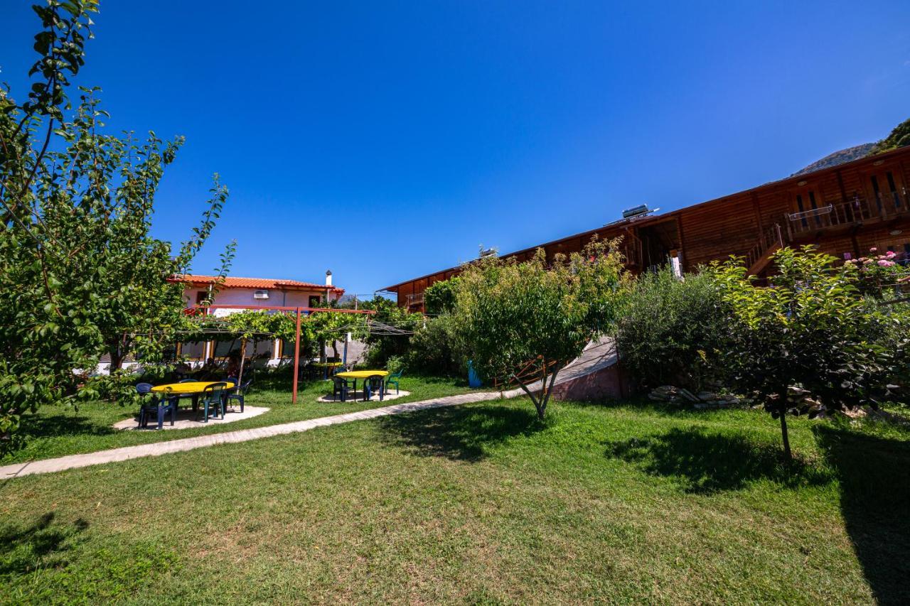 Guest House Luiza Borş Dış mekan fotoğraf
