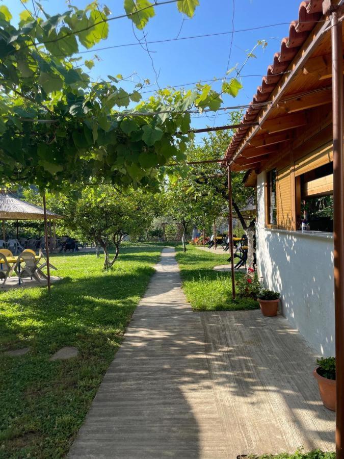 Guest House Luiza Borş Dış mekan fotoğraf