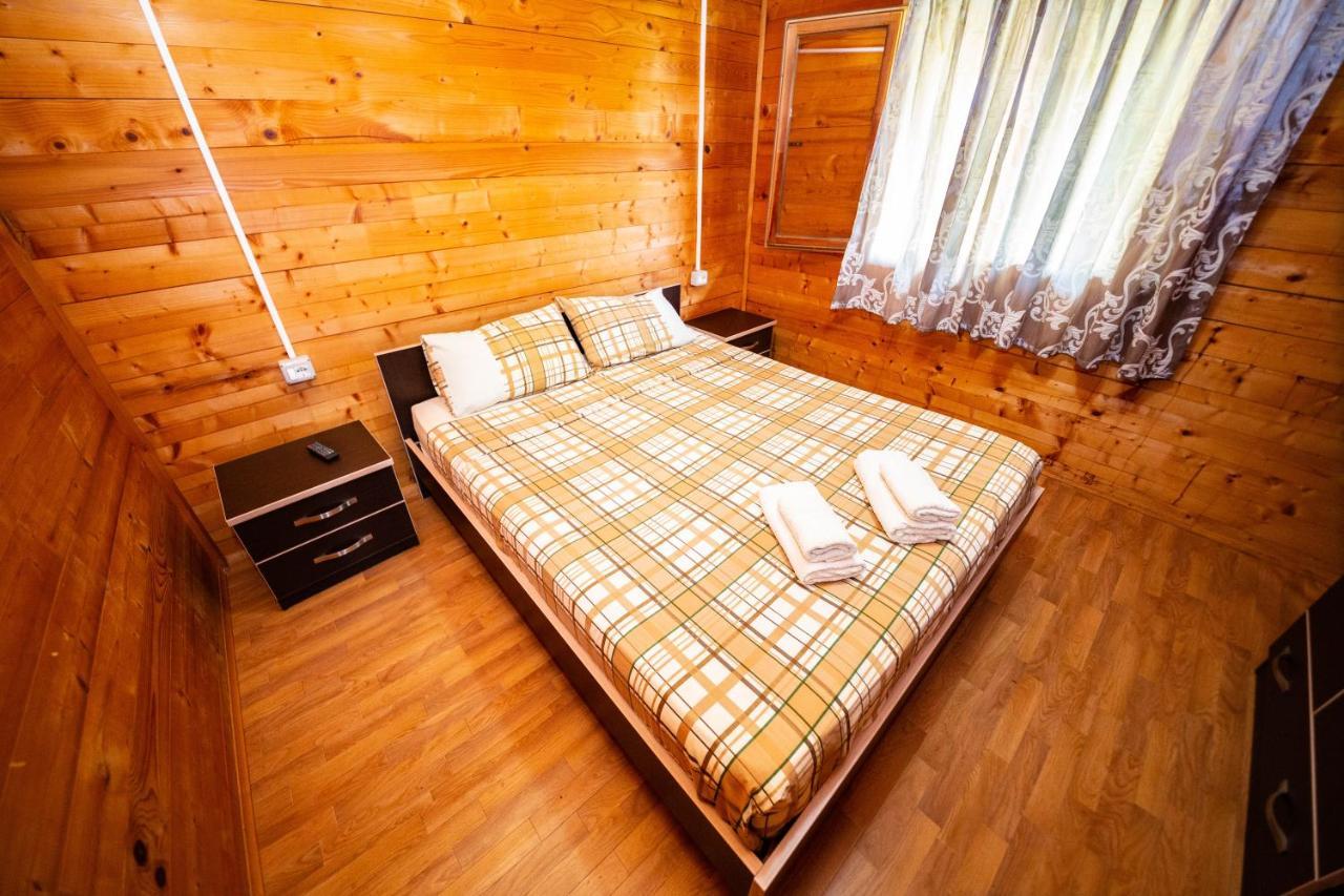 Guest House Luiza Borş Dış mekan fotoğraf