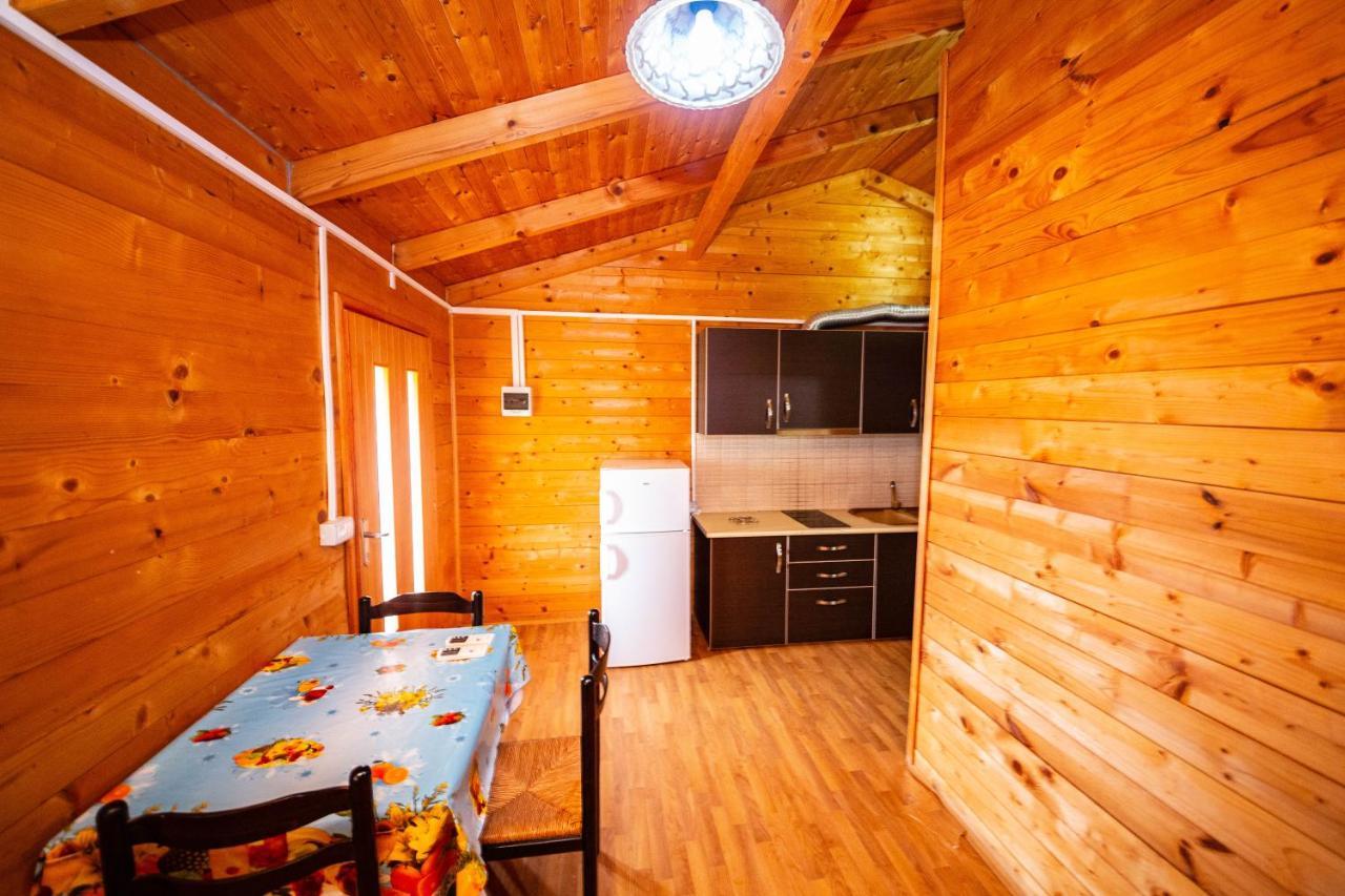 Guest House Luiza Borş Dış mekan fotoğraf