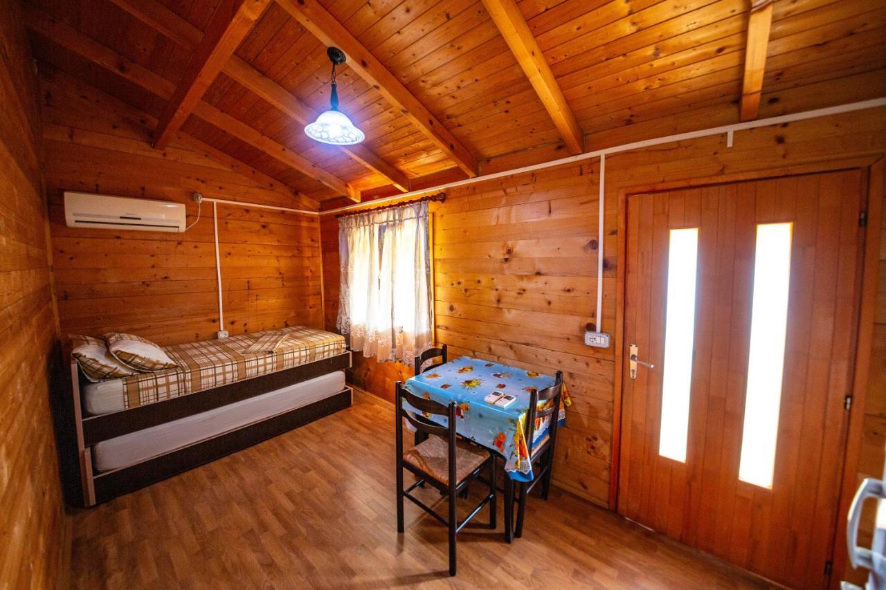 Guest House Luiza Borş Dış mekan fotoğraf