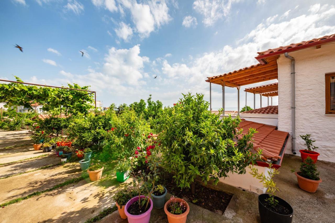 Guest House Luiza Borş Dış mekan fotoğraf