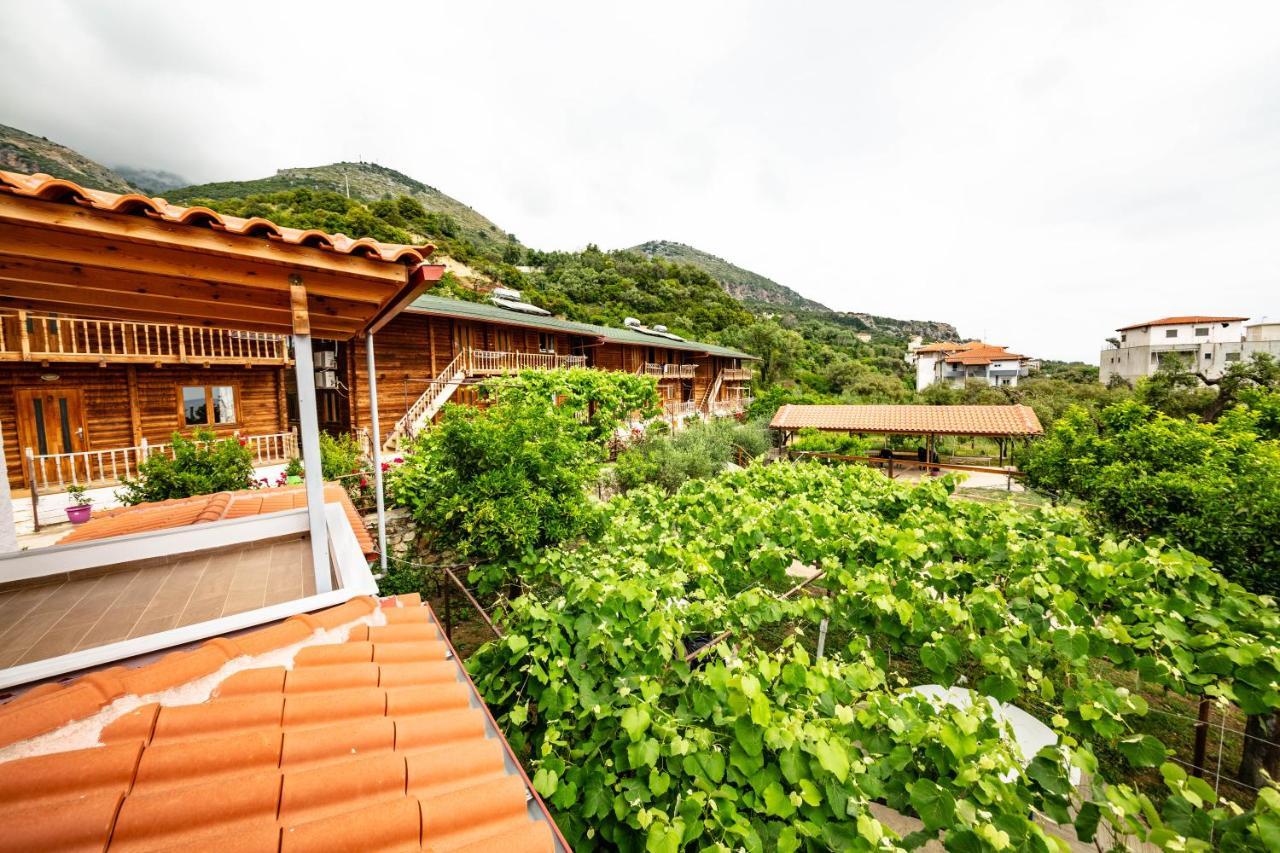 Guest House Luiza Borş Dış mekan fotoğraf