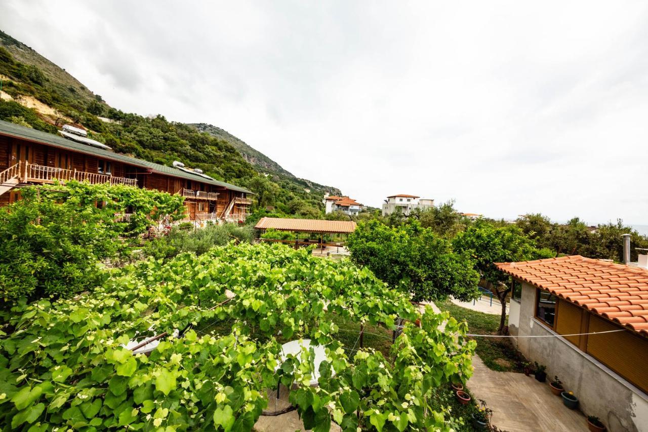 Guest House Luiza Borş Dış mekan fotoğraf