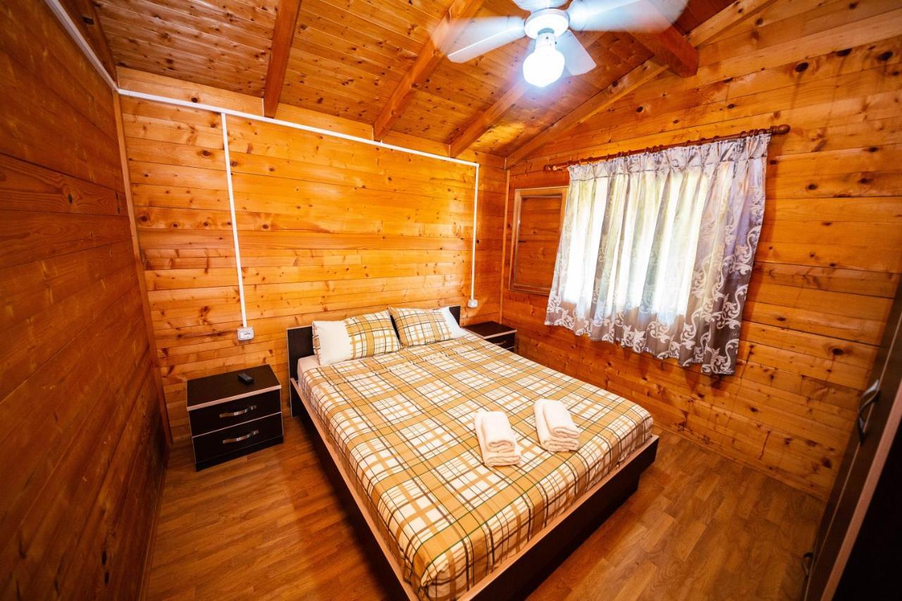 Guest House Luiza Borş Dış mekan fotoğraf