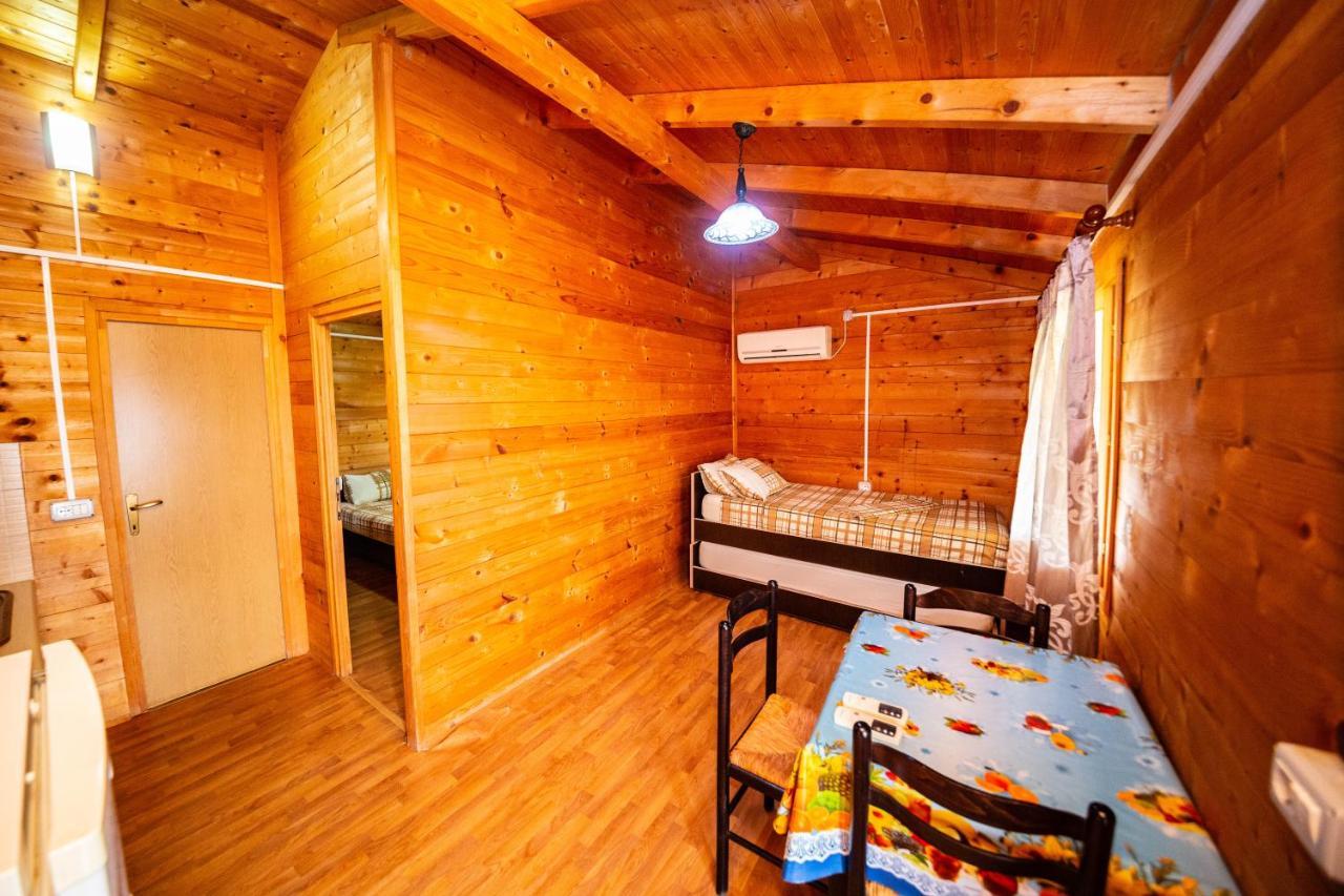 Guest House Luiza Borş Dış mekan fotoğraf