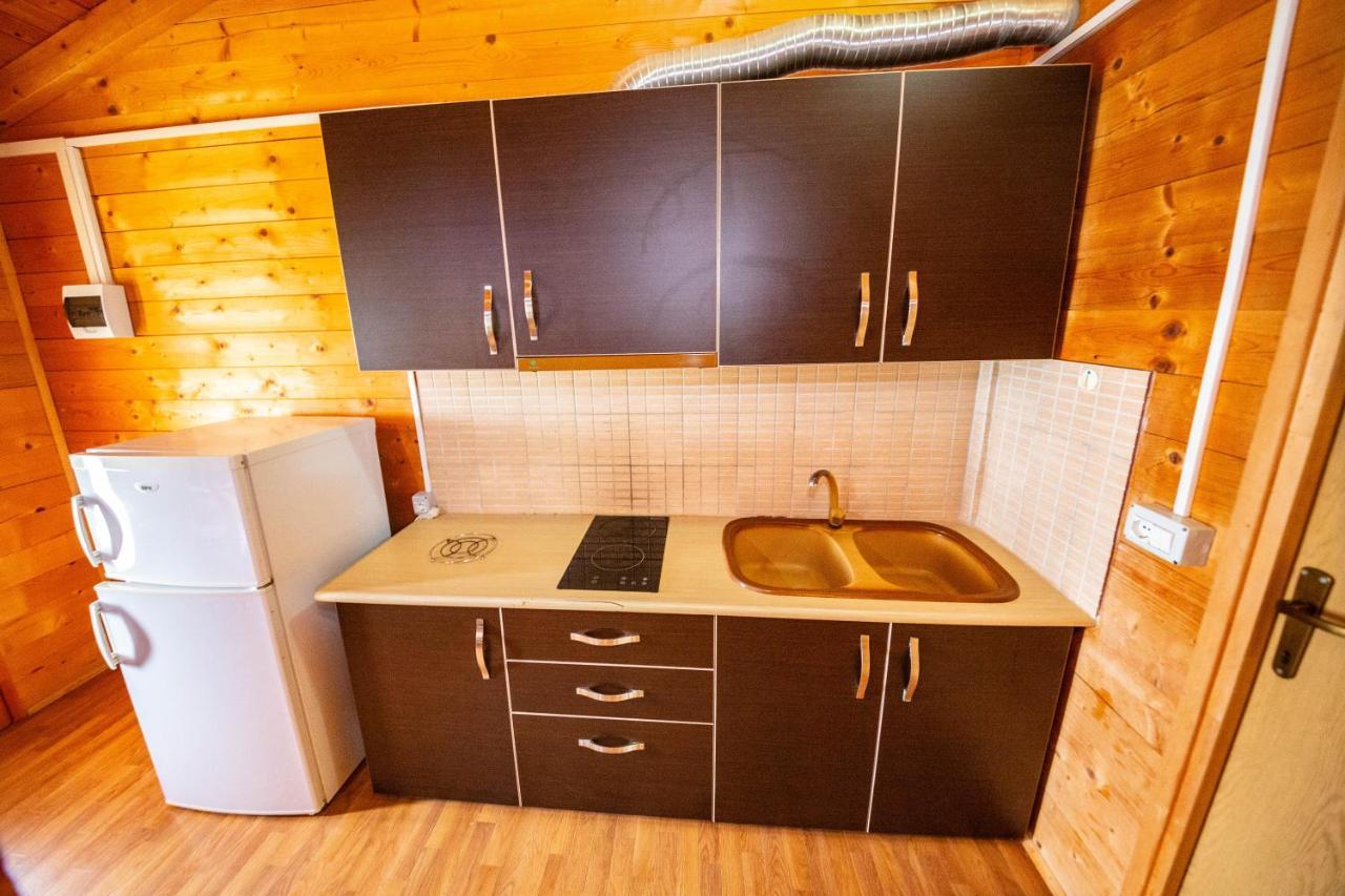 Guest House Luiza Borş Dış mekan fotoğraf