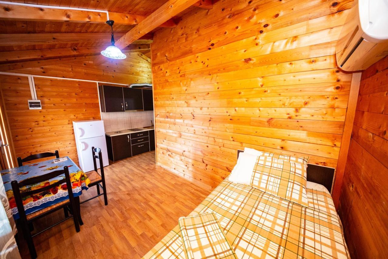 Guest House Luiza Borş Dış mekan fotoğraf